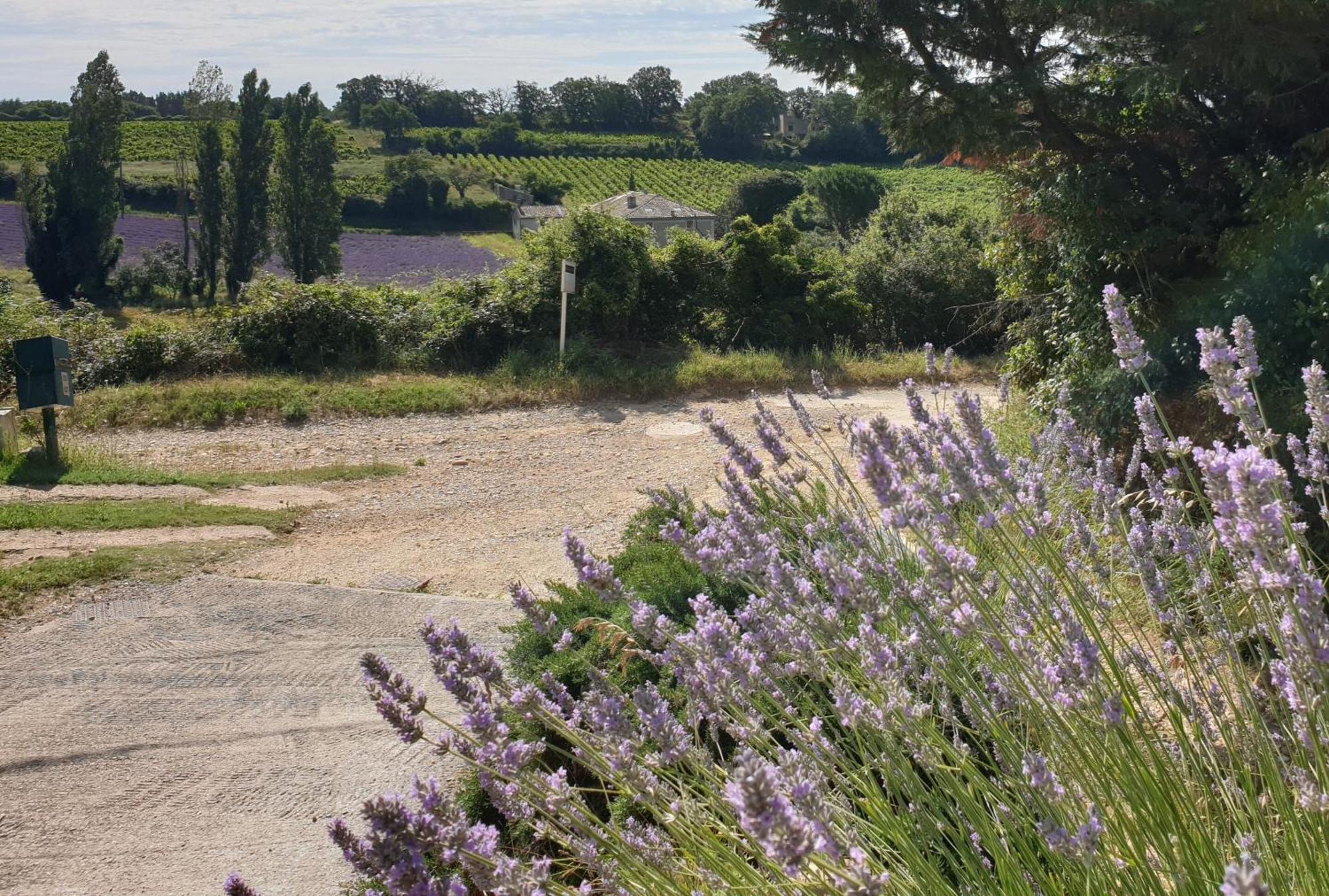 Le Clos Du Grand Chene - Gites 4 Etoiles - Saint-Marcel-d’Ardèche Kültér fotó